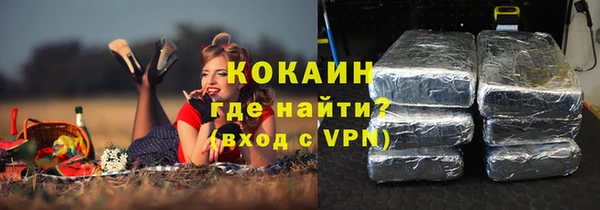 ешки Алексин