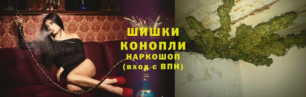 ПСИЛОЦИБИНОВЫЕ ГРИБЫ Гусиноозёрск