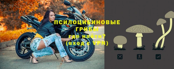 ешки Вязьма
