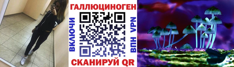 купить наркоту  МЕГА сайт  Галлюциногенные грибы MAGIC MUSHROOMS  Цоци-Юрт 