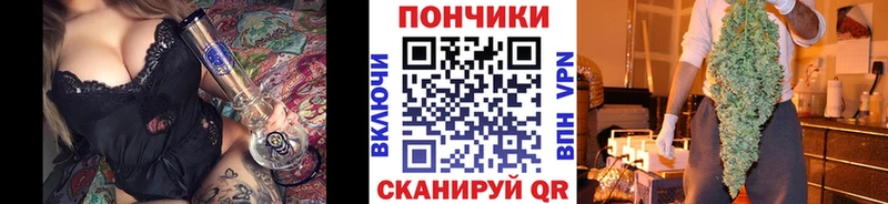 купить наркоту  Цоци-Юрт  Бошки Шишки SATIVA & INDICA 